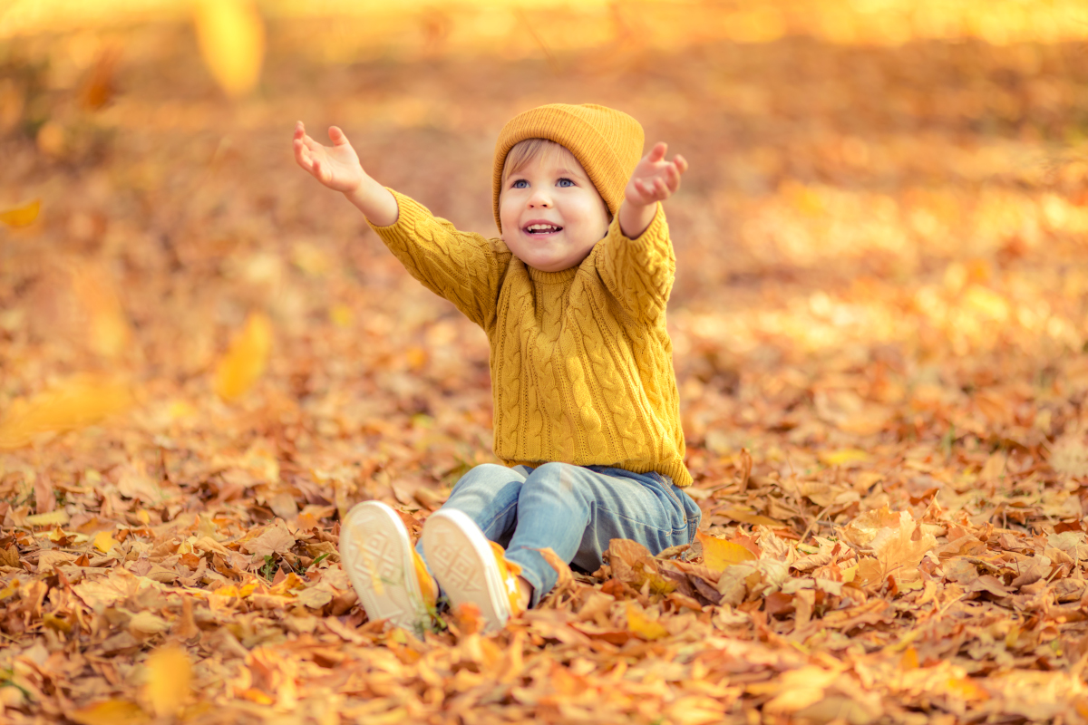 look automne coloré